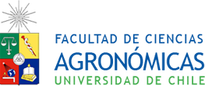 Logo UChile
